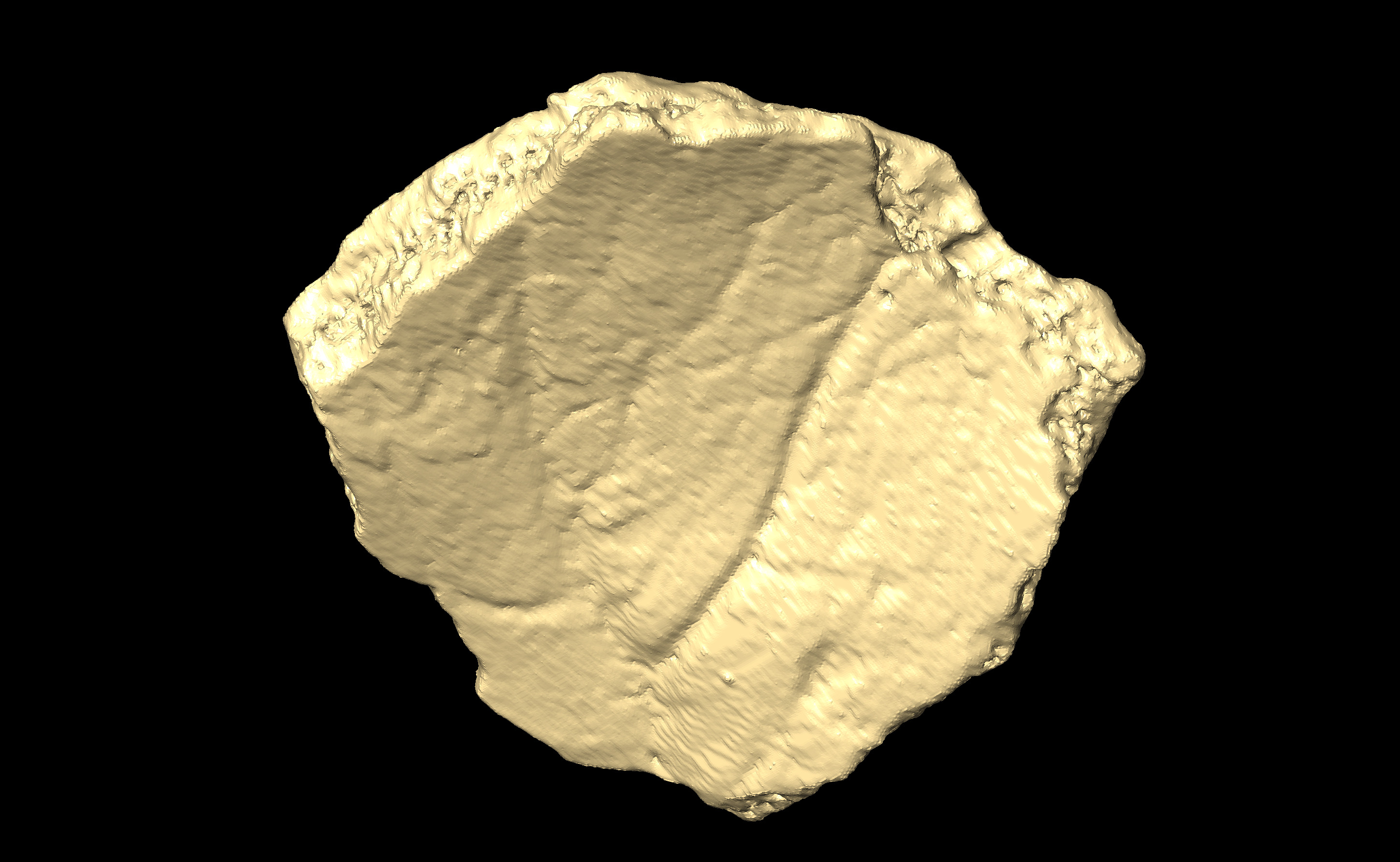 MNHN-HA-4259 (N° SV: 4259-voute) Cranium