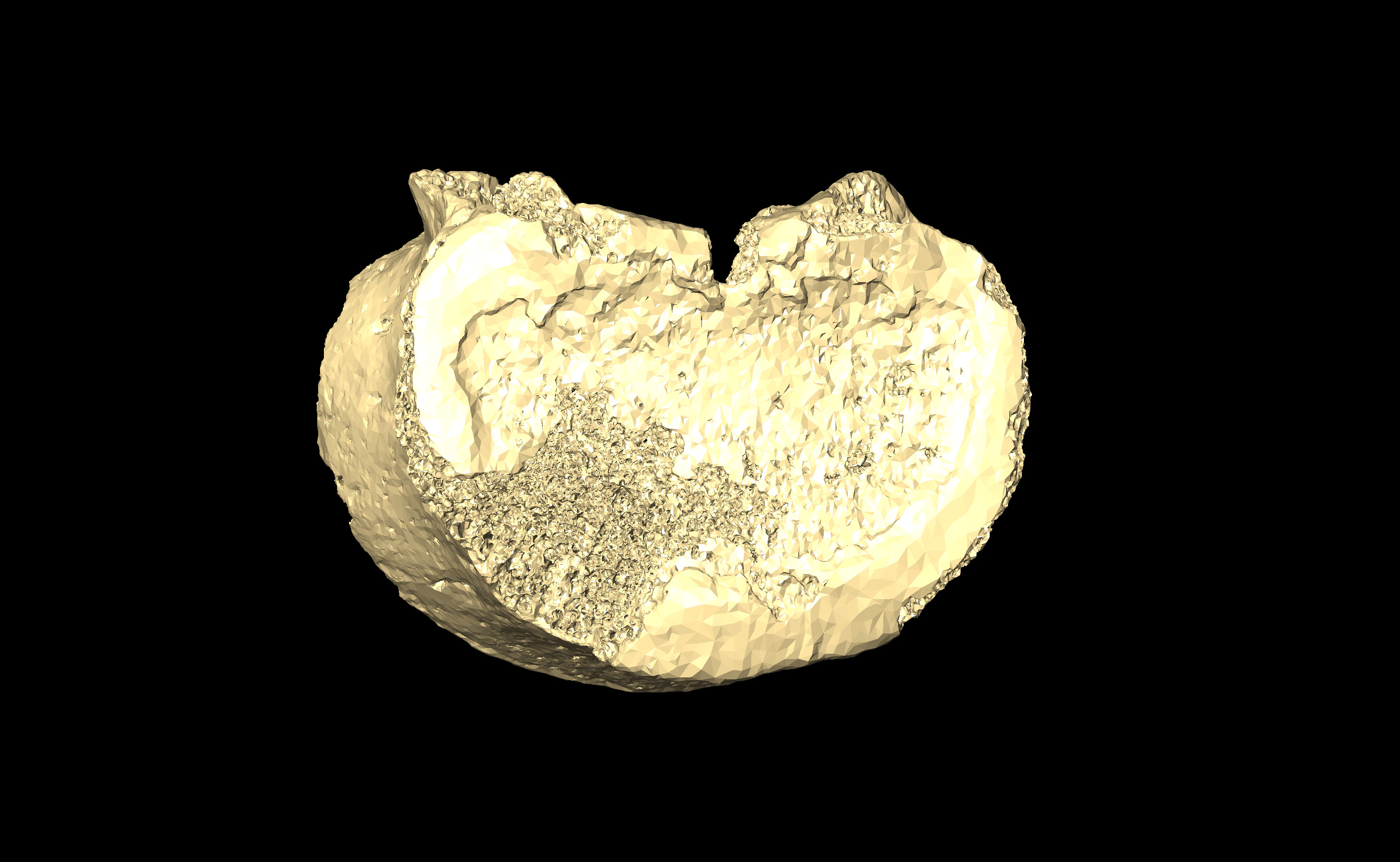 MNHN-HA-4283 Lumbar Vertebra